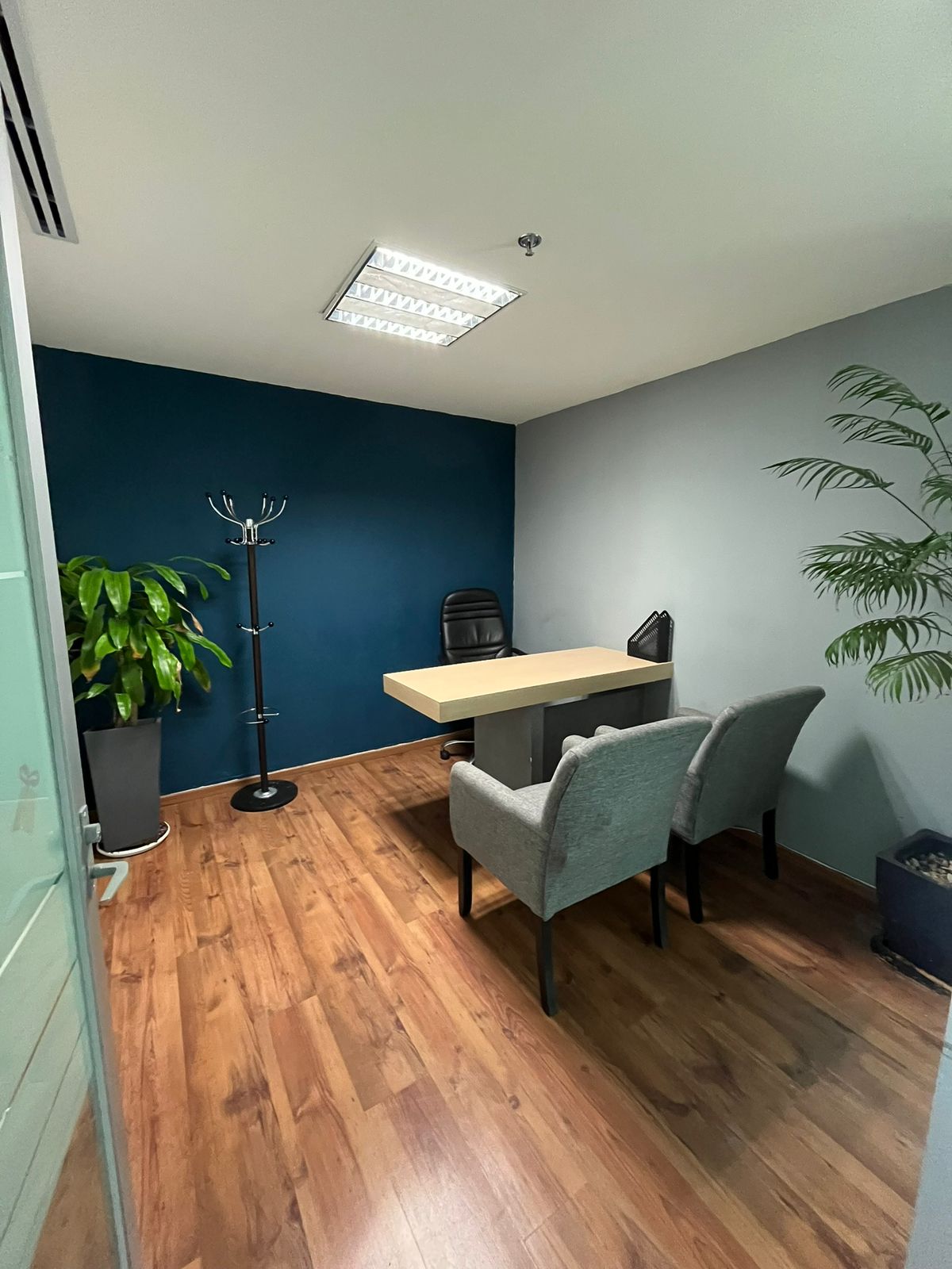 Oficina privada amueblada con sillones y plantas en RedCIMA